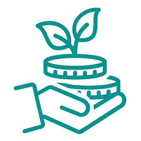 Capital and Revenue Investments